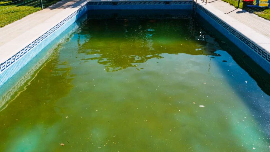 como limpar a piscina quando a água está verde