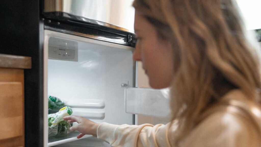 Estratégias para o congelamento: como preservar alimentos e evitar desperdícios