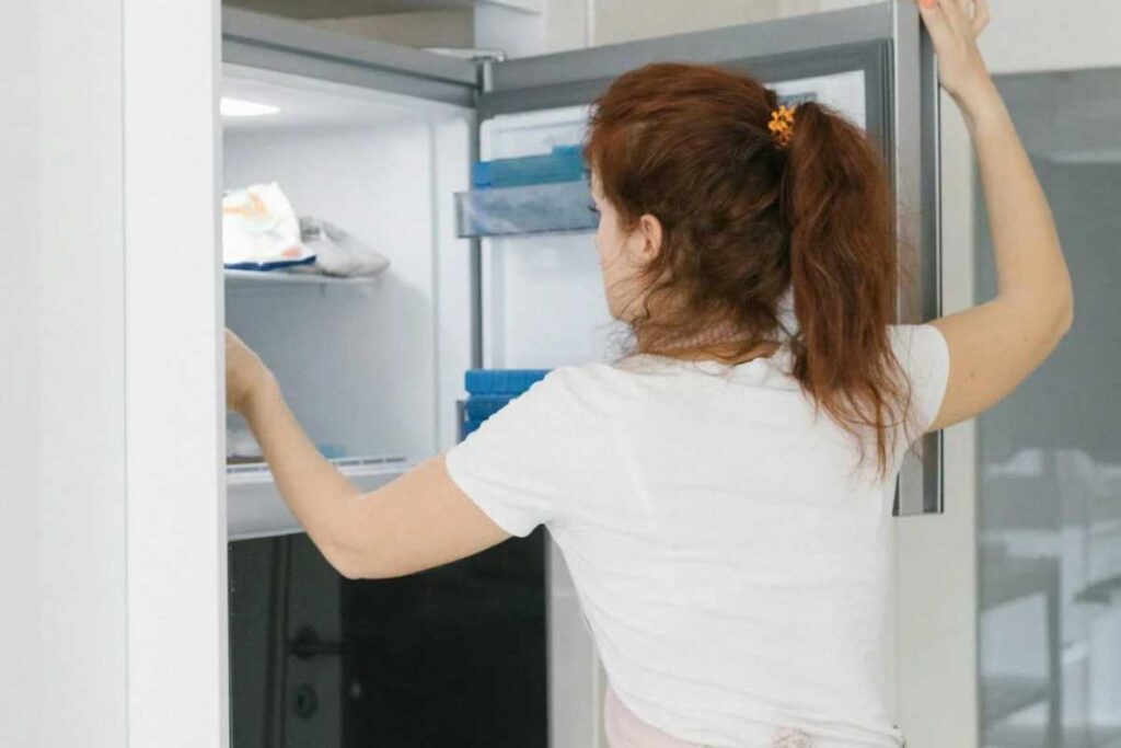 Como organizar seu freezer para maximizar o espaço e a conservação dos alimentos